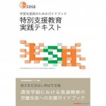 特別支援教育 実践テキスト
